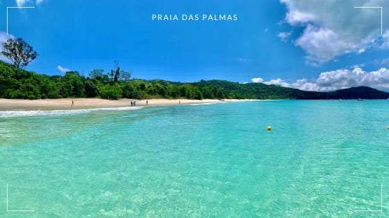 Passeio de Lancha Praia das Palmas